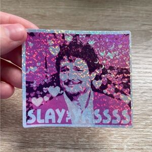 Cool Slutty Daddy holographic Sticker Bundle